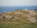 flatrock